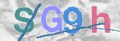 この文字を入力してください