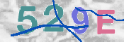 この文字を入力してください