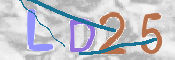 この文字を入力してください