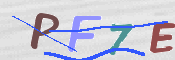 この文字を入力してください