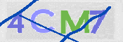 この文字を入力してください