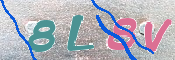 この文字を入力してください