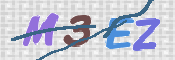 この文字を入力してください