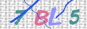 この文字を入力してください
