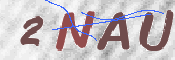 この文字を入力してください