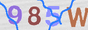 この文字を入力してください