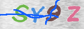この文字を入力してください