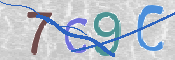 この文字を入力してください