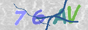 この文字を入力してください
