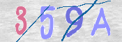 この文字を入力してください