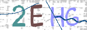 この文字を入力してください