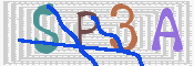 この文字を入力してください