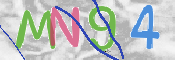 この文字を入力してください