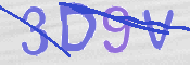 この文字を入力してください