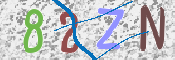この文字を入力してください