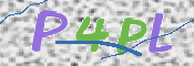 この文字を入力してください