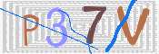 この文字を入力してください