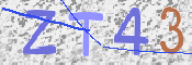 この文字を入力してください