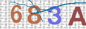 この文字を入力してください