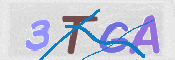 この文字を入力してください
