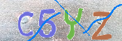 この文字を入力してください