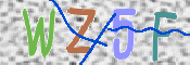 この文字を入力してください