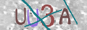 この文字を入力してください