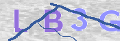 この文字を入力してください