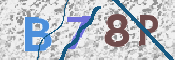 この文字を入力してください
