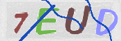 この文字を入力してください