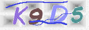 この文字を入力してください