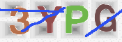この文字を入力してください