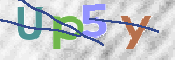 この文字を入力してください