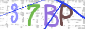 この文字を入力してください