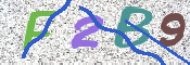 この文字を入力してください