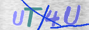 この文字を入力してください