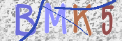 この文字を入力してください