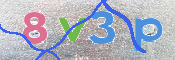 この文字を入力してください