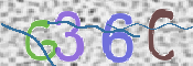 この文字を入力してください