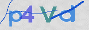 この文字を入力してください
