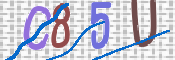 この文字を入力してください