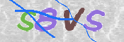 この文字を入力してください