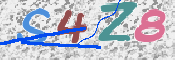この文字を入力してください
