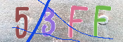この文字を入力してください
