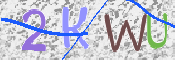 この文字を入力してください