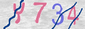 この文字を入力してください