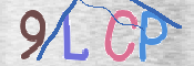 この文字を入力してください