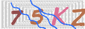 この文字を入力してください