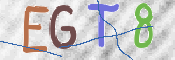 この文字を入力してください