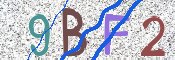 この文字を入力してください